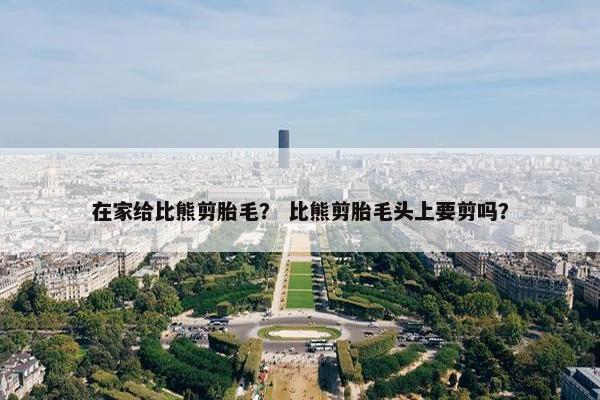 在家给比熊剪胎毛？ 比熊剪胎毛头上要剪吗？