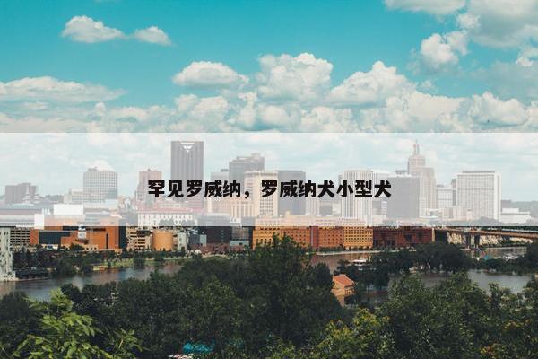 罕见罗威纳，罗威纳犬小型犬
