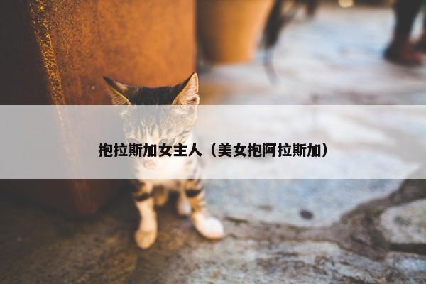 抱拉斯加女主人（美女抱阿拉斯加）
