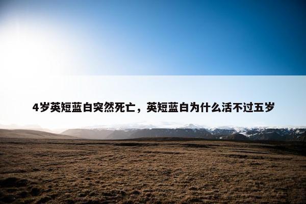 4岁英短蓝白突然死亡，英短蓝白为什么活不过五岁