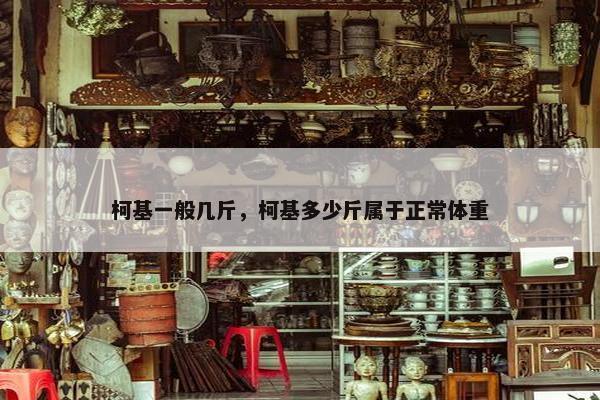 柯基一般几斤，柯基多少斤属于正常体重