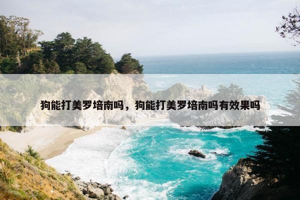 狗能打美罗培南吗，狗能打美罗培南吗有效果吗
