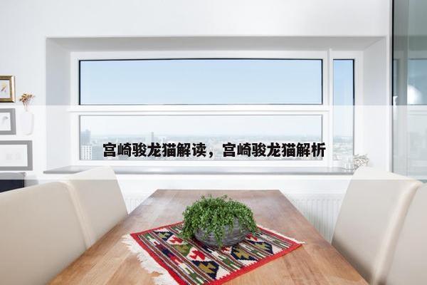 宫崎骏龙猫解读，宫崎骏龙猫解析