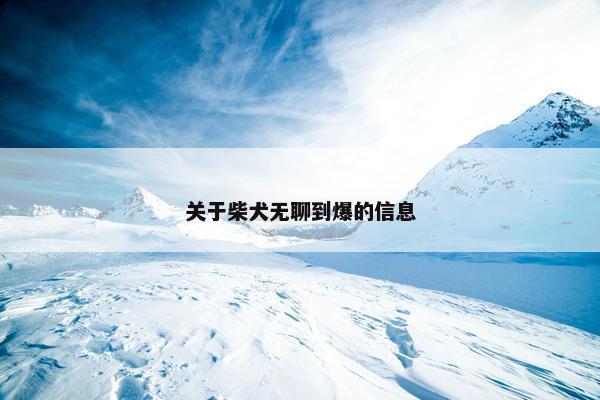 关于柴犬无聊到爆的信息