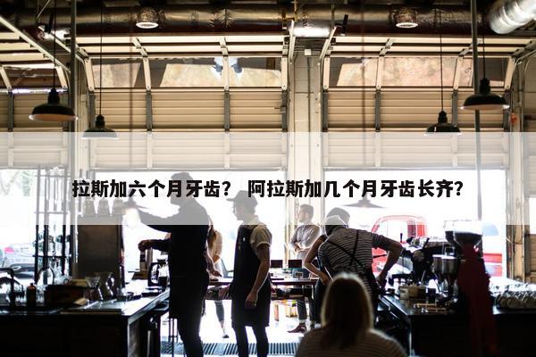 拉斯加六个月牙齿？ 阿拉斯加几个月牙齿长齐？