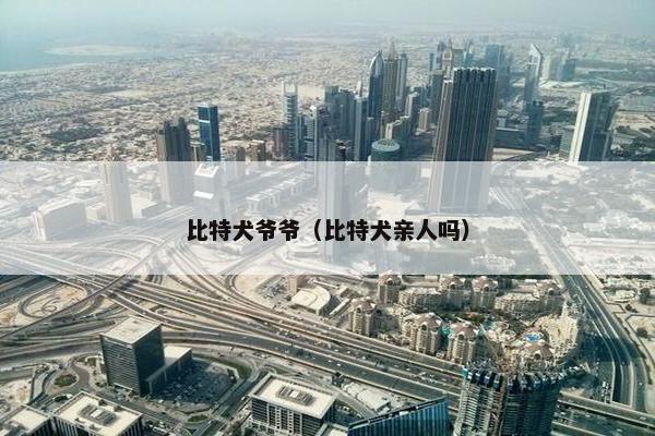 比特犬爷爷（比特犬亲人吗）