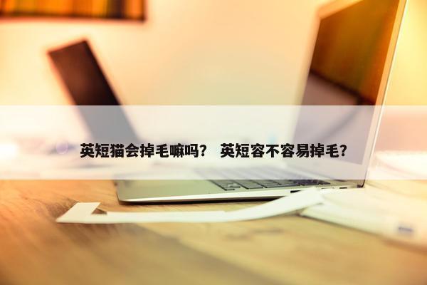 英短猫会掉毛嘛吗？ 英短容不容易掉毛？