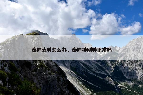 泰迪太胖怎么办，泰迪特别胖正常吗