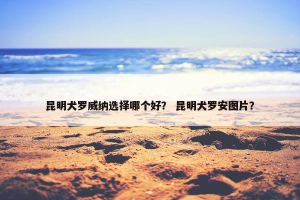 昆明犬罗威纳选择哪个好？ 昆明犬罗安图片？