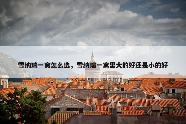 雪纳瑞一窝怎么选，雪纳瑞一窝里大的好还是小的好