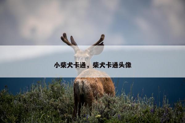 小柴犬卡通，柴犬卡通头像