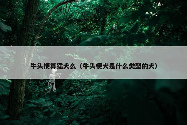 牛头梗算猛犬么（牛头梗犬是什么类型的犬）