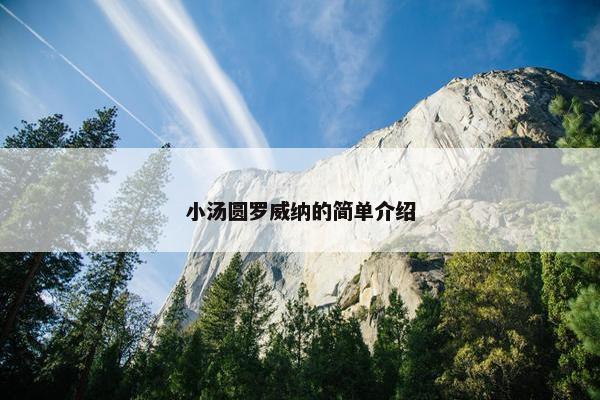 小汤圆罗威纳的简单介绍