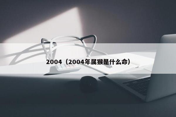 2004（2004年属猴是什么命）