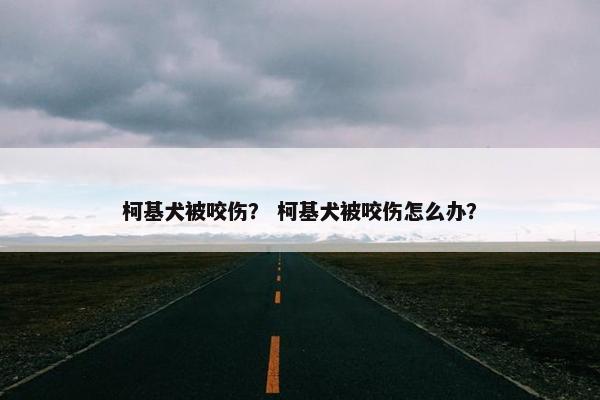 柯基犬被咬伤？ 柯基犬被咬伤怎么办？