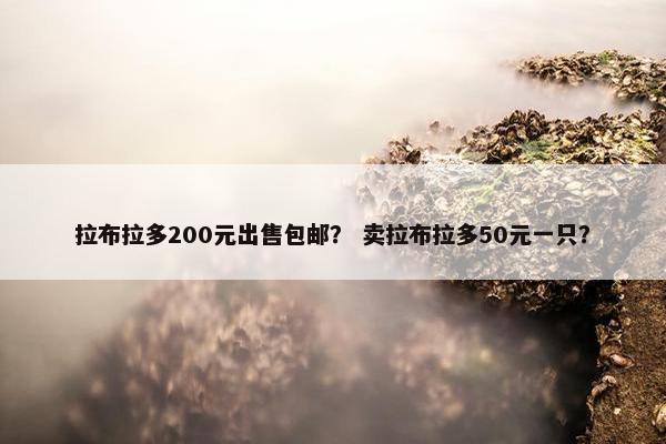 拉布拉多200元出售包邮？ 卖拉布拉多50元一只？