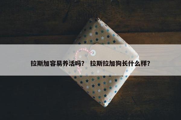 拉斯加容易养活吗？ 拉斯拉加狗长什么样？