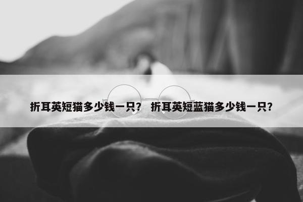 折耳英短猫多少钱一只？ 折耳英短蓝猫多少钱一只？