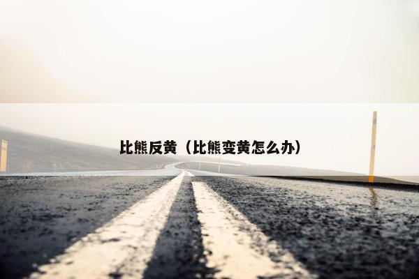 比熊反黄（比熊变黄怎么办）