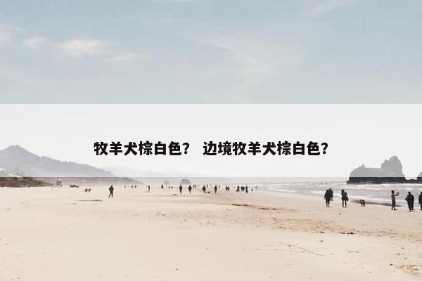 牧羊犬棕白色？ 边境牧羊犬棕白色？