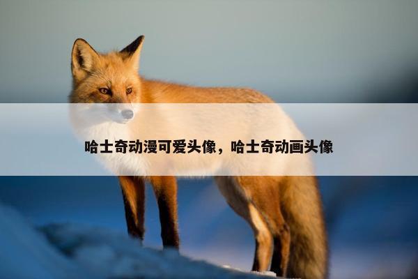 哈士奇动漫可爱头像，哈士奇动画头像