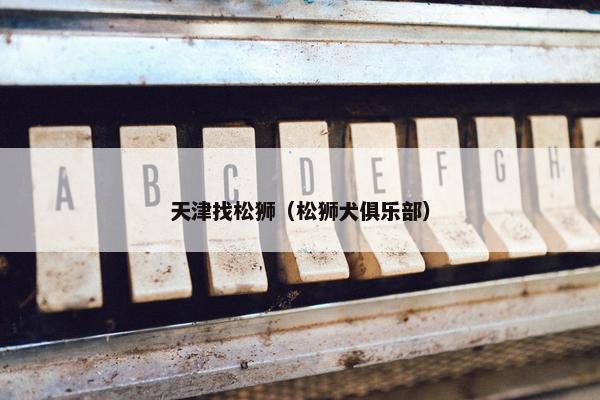 天津找松狮（松狮犬俱乐部）