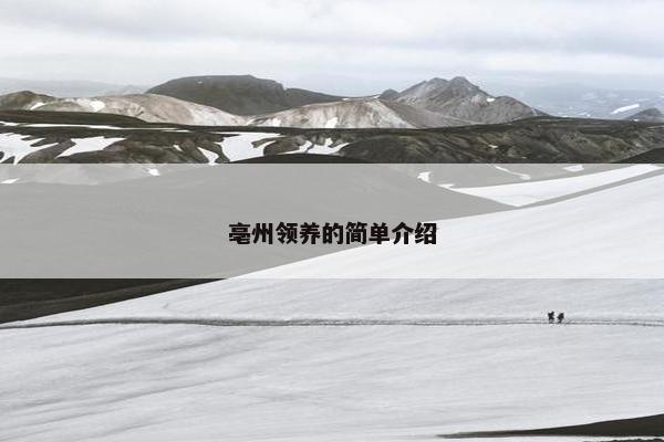 亳州领养的简单介绍