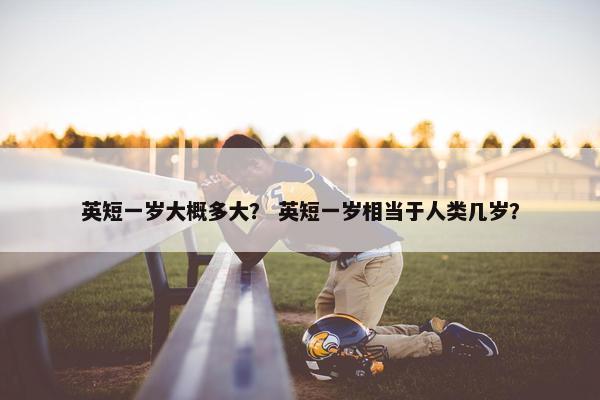 英短一岁大概多大？ 英短一岁相当于人类几岁？