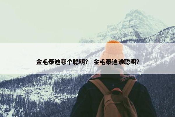 金毛泰迪哪个聪明？ 金毛泰迪谁聪明？