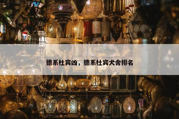德系杜宾凶，德系杜宾犬舍排名