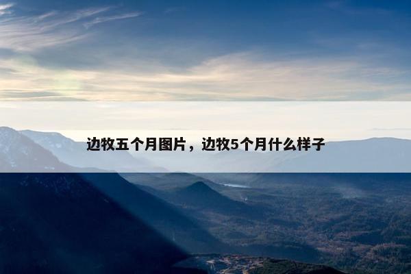 边牧五个月图片，边牧5个月什么样子