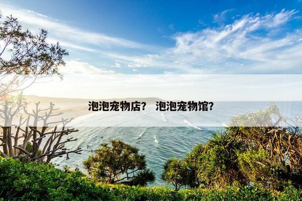 泡泡宠物店？ 泡泡宠物馆？