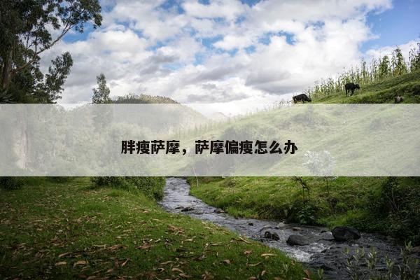胖瘦萨摩，萨摩偏瘦怎么办