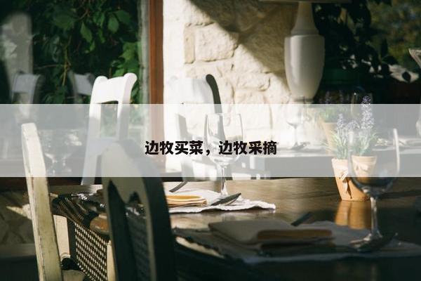 边牧买菜，边牧采摘