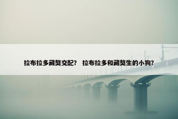 拉布拉多藏獒交配？ 拉布拉多和藏獒生的小狗？