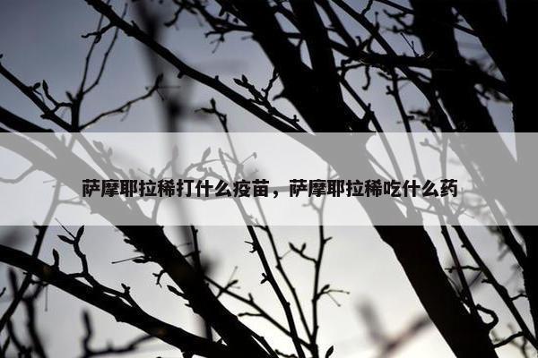 萨摩耶拉稀打什么疫苗，萨摩耶拉稀吃什么药