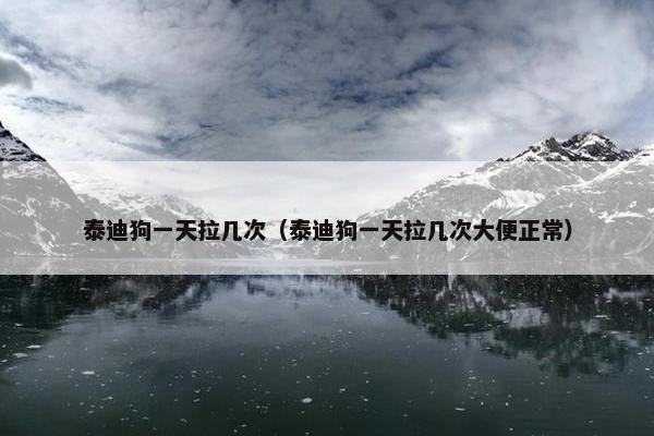 泰迪狗一天拉几次（泰迪狗一天拉几次大便正常）