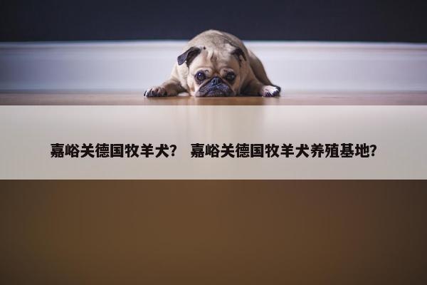 嘉峪关德国牧羊犬？ 嘉峪关德国牧羊犬养殖基地？