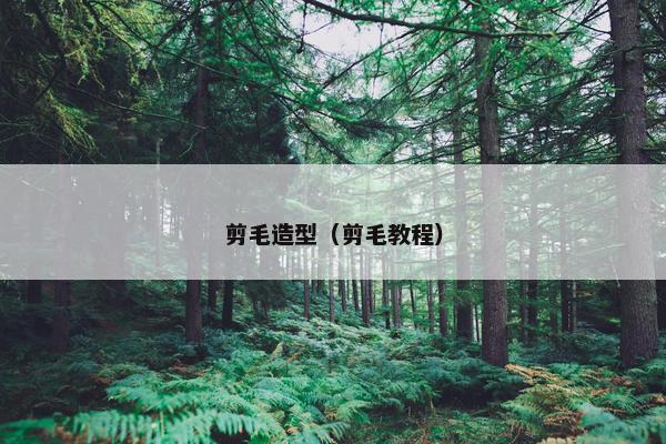 剪毛造型（剪毛教程）
