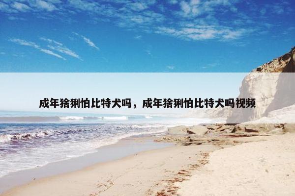 成年猞猁怕比特犬吗，成年猞猁怕比特犬吗视频