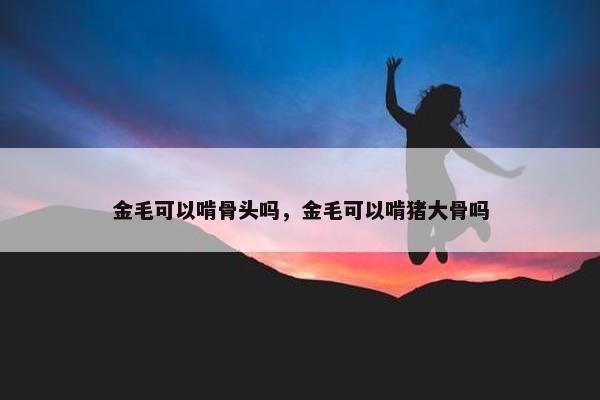 金毛可以啃骨头吗，金毛可以啃猪大骨吗