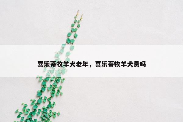 喜乐蒂牧羊犬老年，喜乐蒂牧羊犬贵吗
