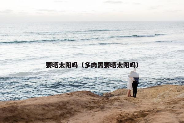 要晒太阳吗（多肉需要晒太阳吗）