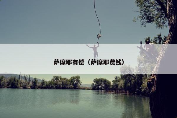萨摩耶有偿（萨摩耶费钱）