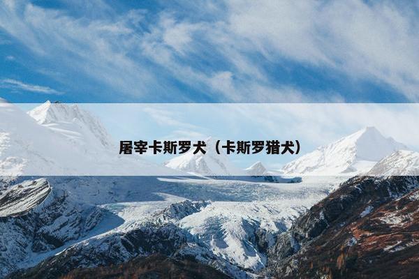 屠宰卡斯罗犬（卡斯罗猎犬）