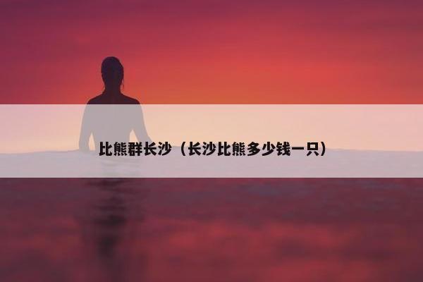 比熊群长沙（长沙比熊多少钱一只）
