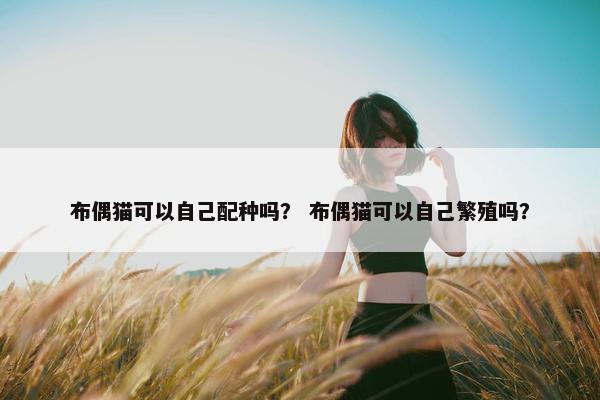 布偶猫可以自己配种吗？ 布偶猫可以自己繁殖吗？