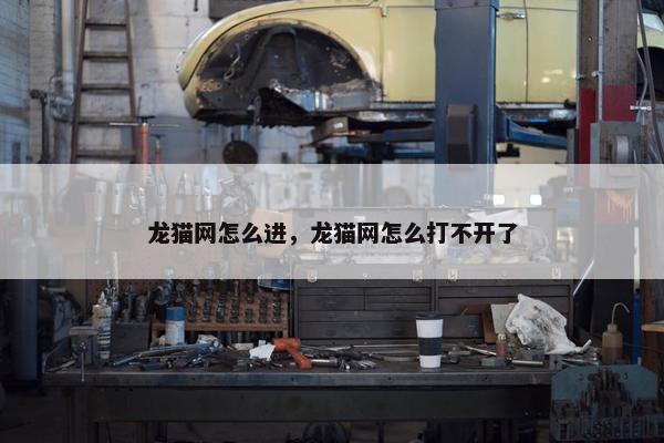 龙猫网怎么进，龙猫网怎么打不开了