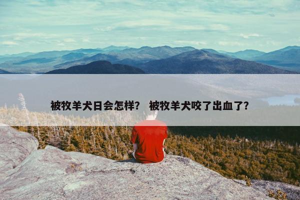 被牧羊犬日会怎样？ 被牧羊犬咬了出血了？