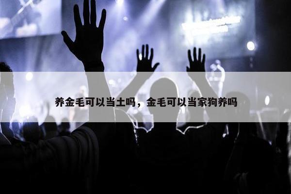 养金毛可以当土吗，金毛可以当家狗养吗